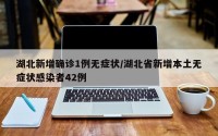 湖北新增确诊1例无症状/湖北省新增本土无症状感染者42例