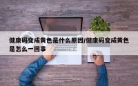 健康码变成黄色是什么原因/健康码变成黄色是怎么一回事