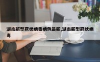 湖南新型冠状病毒病例最新,湖南新型冠状病毒