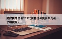 奖牌榜冬奥会2022(奖牌榜冬奥会第几名了啊视频)