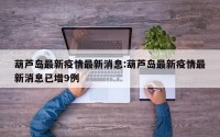 葫芦岛最新疫情最新消息:葫芦岛最新疫情最新消息已增9例