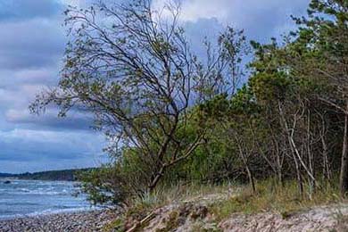 先给结论：90%的情况不用隔离，但得看“两个关键”