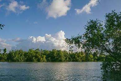 重庆疫情的最新消息：社区里的烟火气与坚守