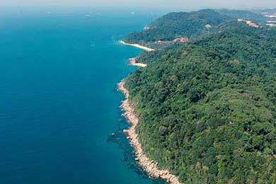 5例病例细节：多为“日常接触”引发