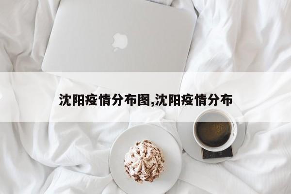 沈阳疫情分布图,沈阳疫情分布